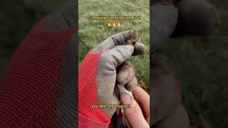 #metaldetecting #metaldetectingfinds #metaldetector #metaldetect #ifi