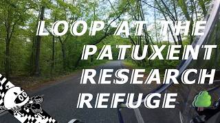 Loop at the Patuxent Research Refuge 🌳(5.10.2026)