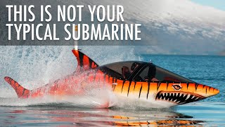 Top 3 Amazing Personal Submarines by Seabreacher 20242025 | Price & Features