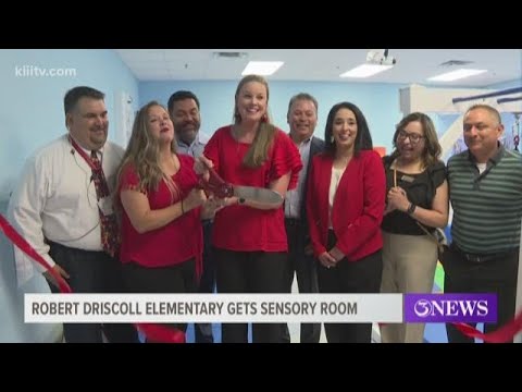 Robert Driscoll Elementary School gets sensory room