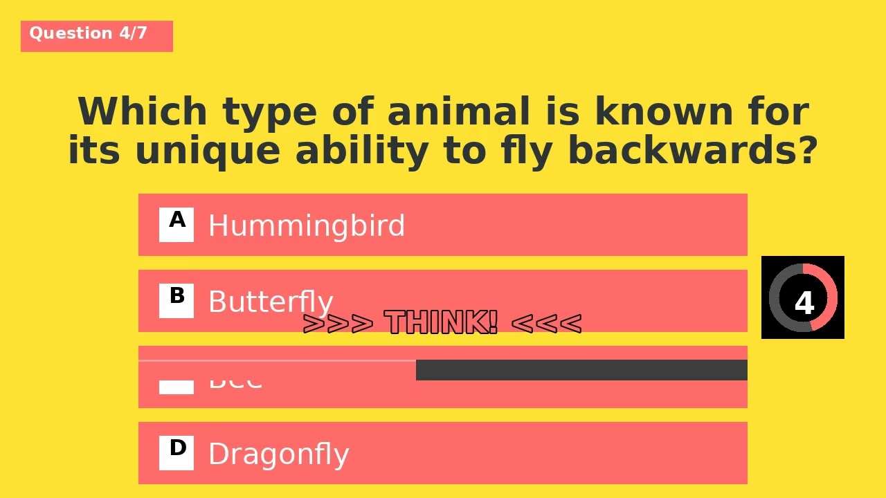 Daily Quiz Quest - Ultimate Kids Quiz #8 | Beat the Clock!