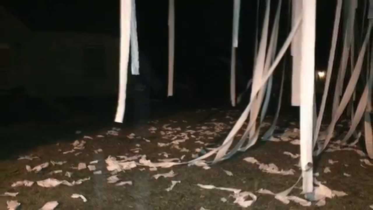 How to Toilet Paper a House foto How to Toilet Paper a House picture