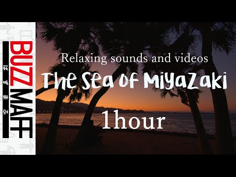【BUZZ MAFF】リラックスできる音と映像　～宮崎の海～（Relaxing sounds and videos -The sea of Miyazaki, Japan-）
