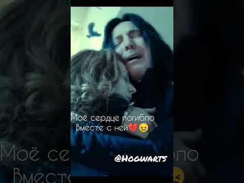 Video: Boli snape a Lily zamilovaní?