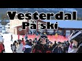 Vesterdal på ski