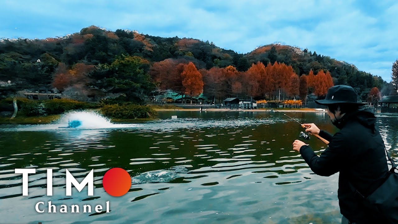 【FISH UP 秋川湖】電車と徒歩で行く都内最大級のポンドでデカマス釣り！期間限定エリアトラウト