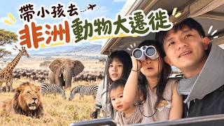 帶兩歲與四歲小孩闖肯亞，等到牛羚過河那一刻