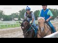 Breeders' Cup Connections with TDN- Carlos Rosas and Cogburn