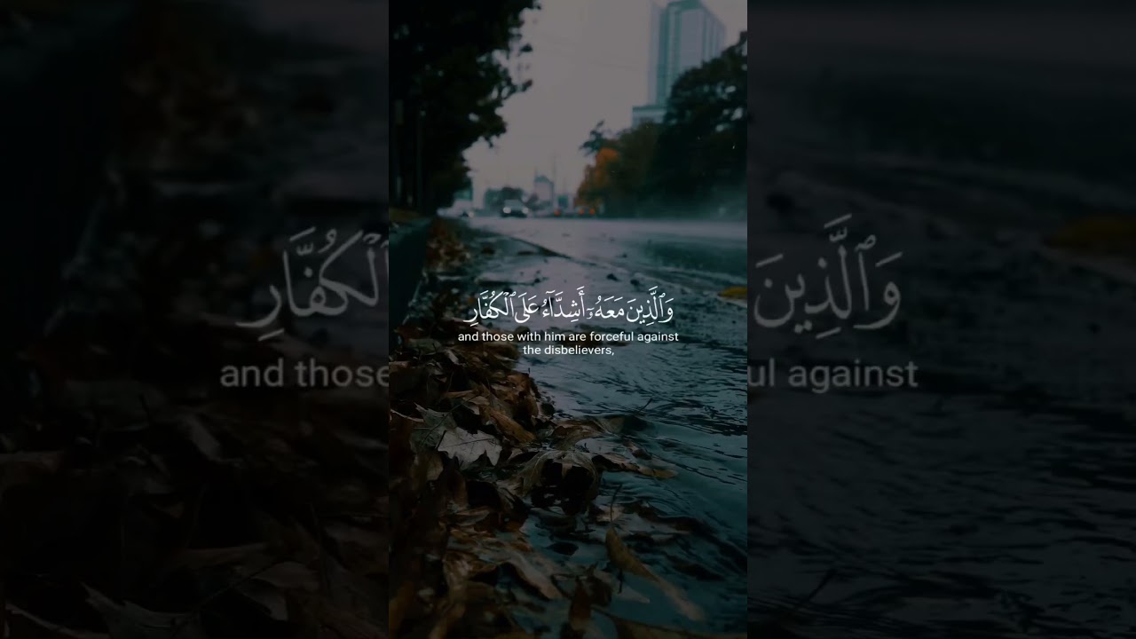 محمد رسول الله القارئ حمزة الفار سورة الفتح #قرآن