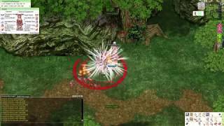 Roph Exe Knight Vs Eddga Mvp Thor Server