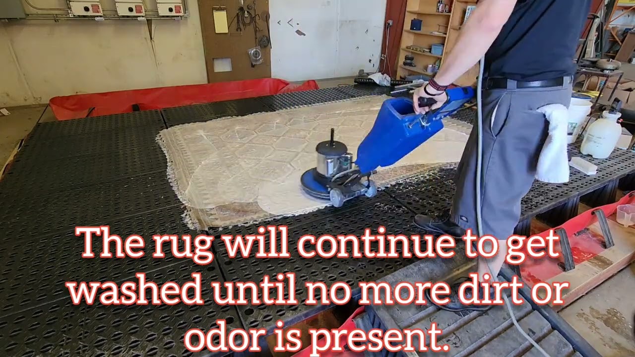 Specialty Rug Cleaning Steps