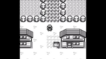Pokemon Red 002 Professor Oaks parcel, Pokédex, Town map, Training Charmander - Walkthrough Gameplay