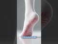 how your foot look when walking all day