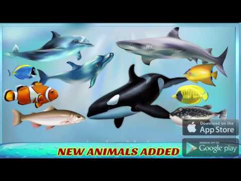 Deniz Hayvanı Taşıma Kamyonu 3D