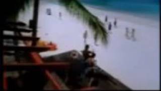 All you need is love ( lang hua yi duo duo ) richie ren - shu qi