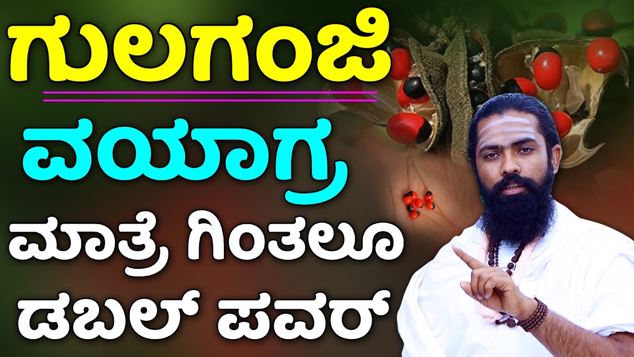 ಗುಲಗಂಜಿ ಬೀಜದಲ್ಲಿ ಹಾವಿನ ವಿಷ..! ಗಂಡಸ್ತನದ ಶಕ್ತಿ ಈ ಒಂದೇ ಮೂಲಿಕೆಯಿಂದ | Gulaganji Uses in Kannada