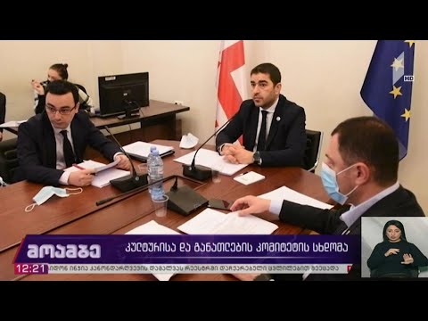 კომიტეტის სხდომა