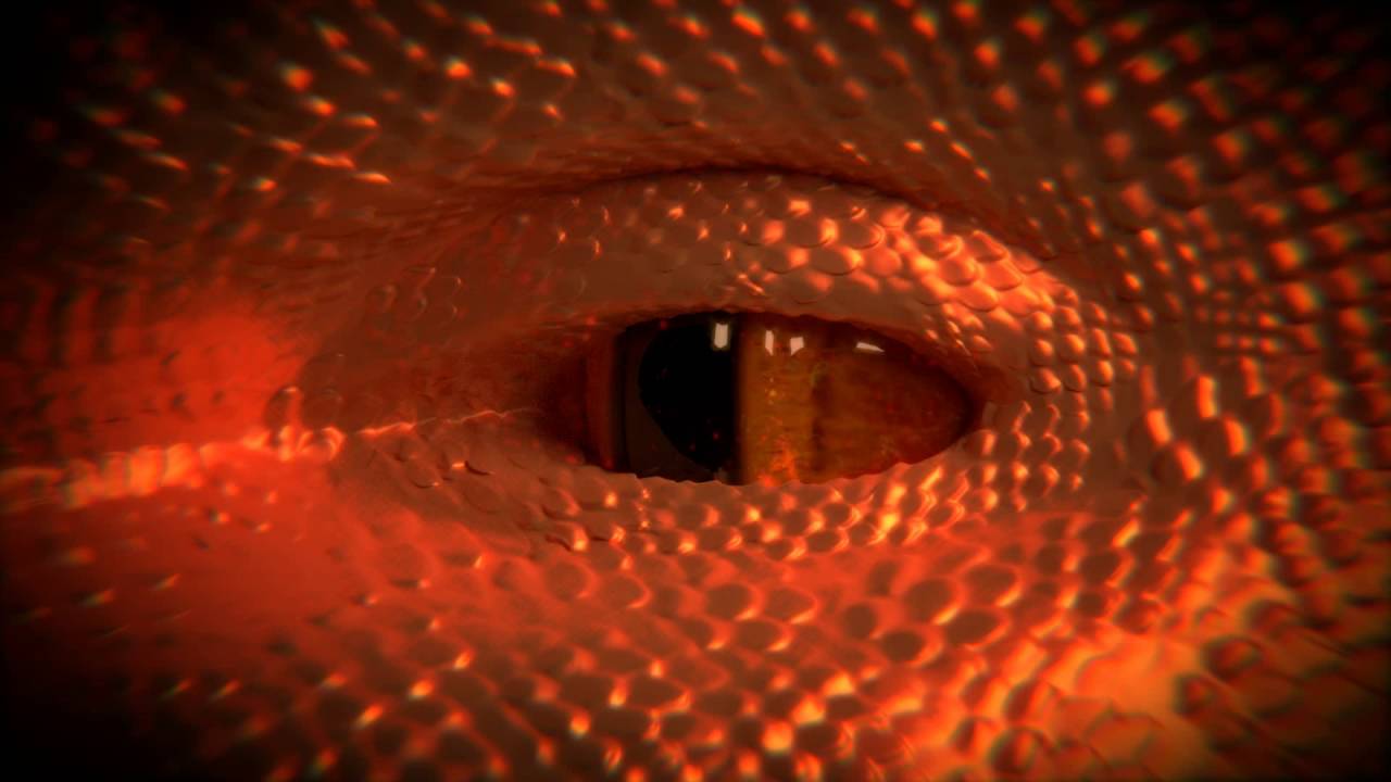 Dragon Eye Close Up - YouTube