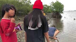 BEAUTIFUL FILIPINA HARVESTING MUD CRABS  EXPAT LIFE IN THE PHILIPPINES