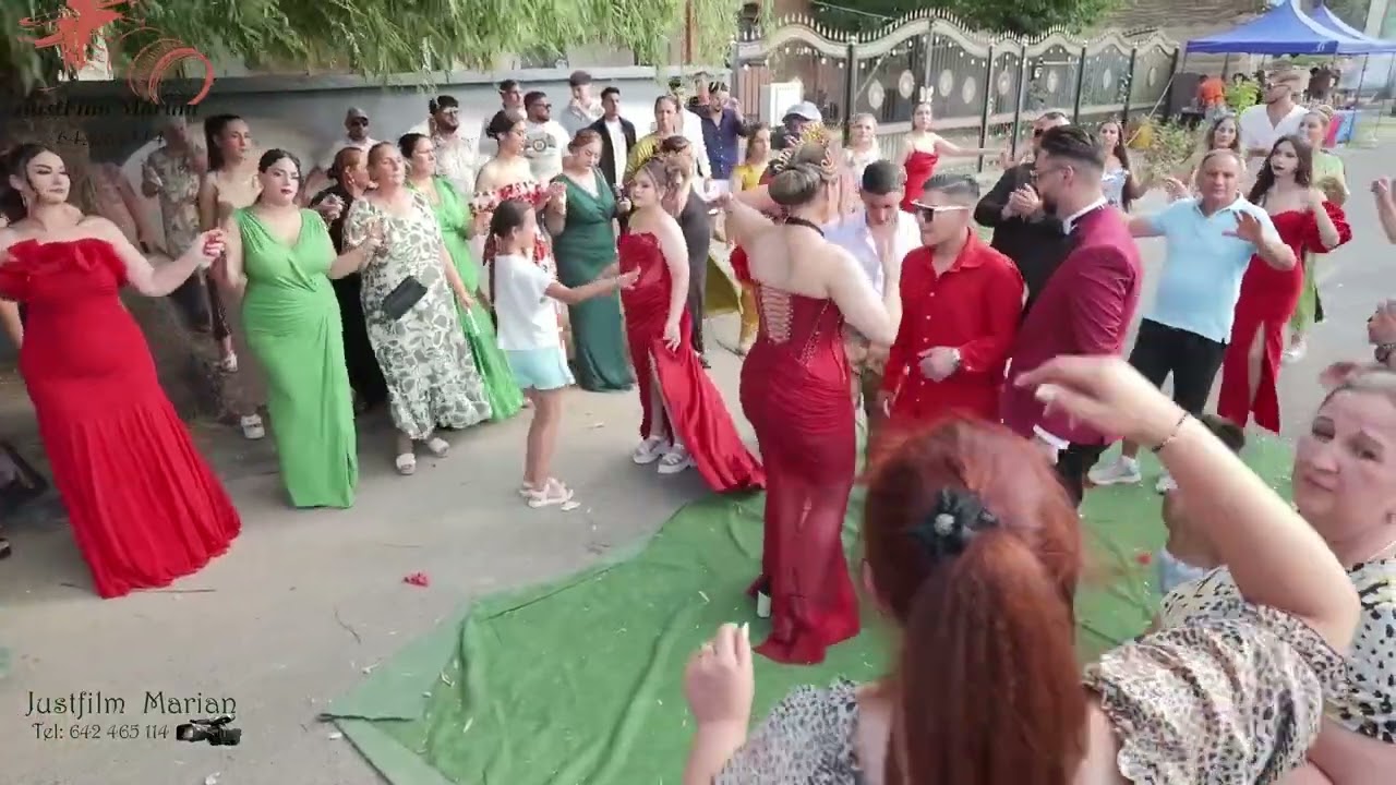 Intelegere Ionut si Buteanca in turnu magurele 27 iulie 2025  Hit New  [Manele Noi 2025]