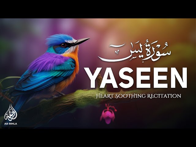 Surah Yasin (Yaseen) سورة يس | Recited by Tareq Mohammad | Relaxing Heart Touching Voice | Ar Rihla class=