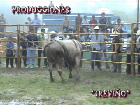 Rancho el Infierno de los Hermanos Olea en San Ped...