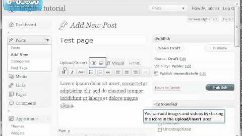 Publishing Posts In WordPress Tutorial
