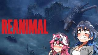 Kronii & Raora’s Ultimate Betrayal… At Its Absolute Finest | 『Hololive』