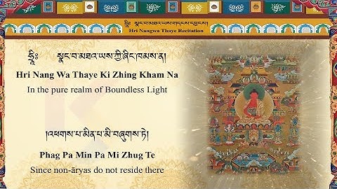Buddha Amitabha–The Blissful Pure Land of Infinite Light and Life | Namo Amituofo Chant_Healing vibe