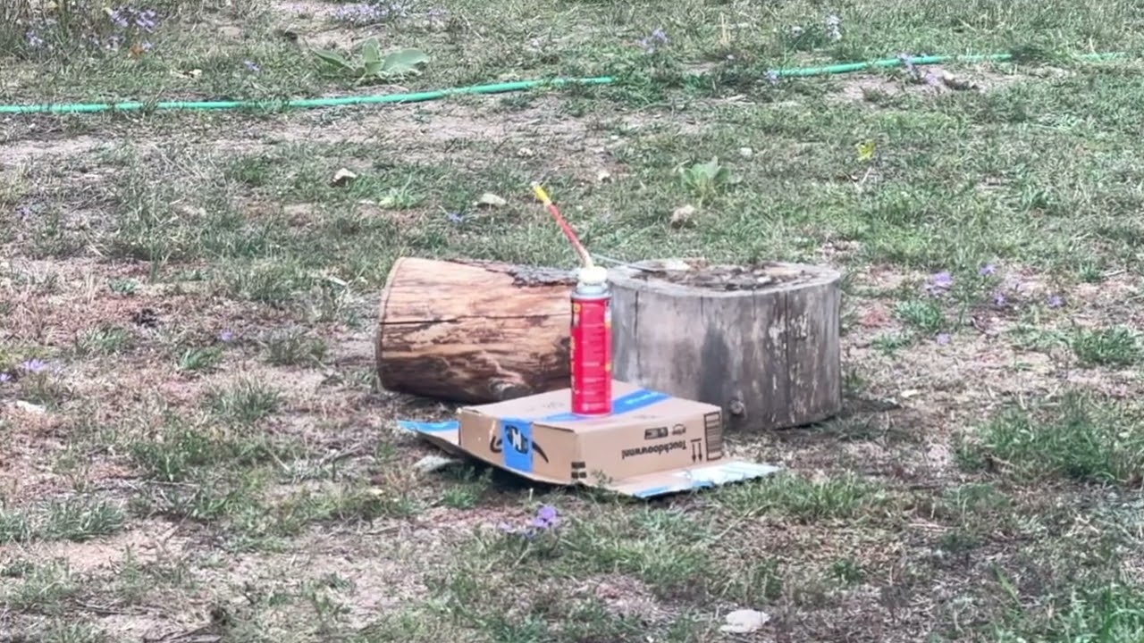 Expanding foam shot by a 22