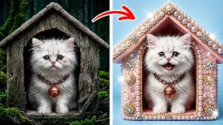 Sweet Cat Sweet Home 😻 New Cats Gadgets 🐈 Viral Gadgets and Hacks For Happy Cats 😍