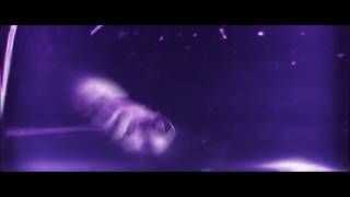 Justwhip - Pexel Ft. Exode