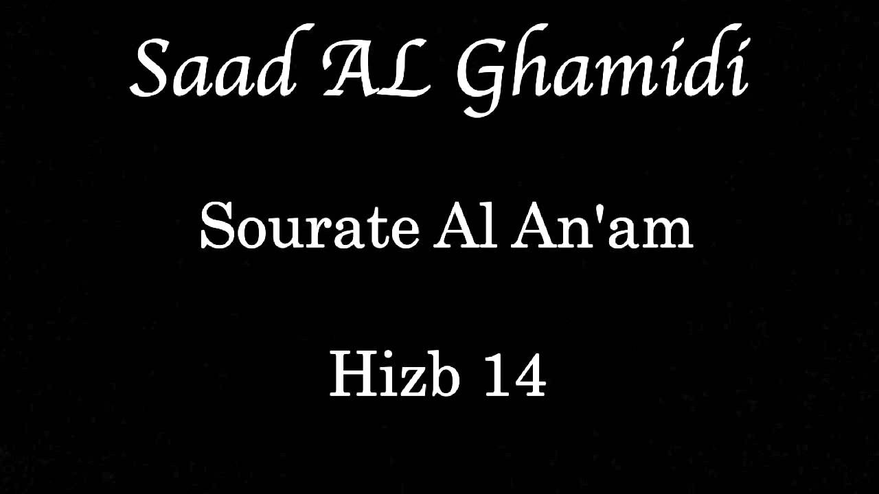Hizb 14 - Saad AL GHAMIDI - الحزب ١٤ - سعد الغامدي