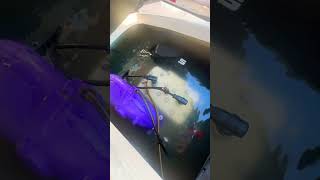 We Almost Sunk A Jet Ski #kerncountyfishing #bigcatfeverrods #fishing #carpfishing #cafishing