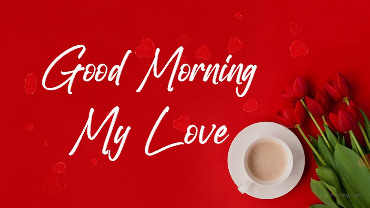 Good Morning My Love  Messages and Wishes  WishesMsgcom