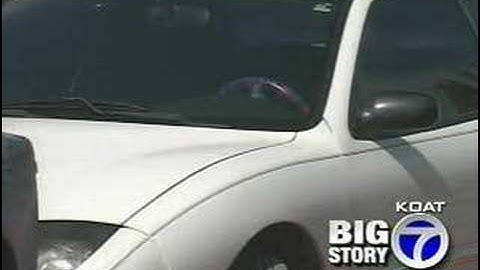 Daughter Calls 911 On Speeding Dad