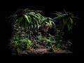Building a trex jungle diorama