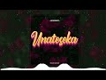 Houseboy Unateseka Mp3 Houseboy Unateseka Mp3