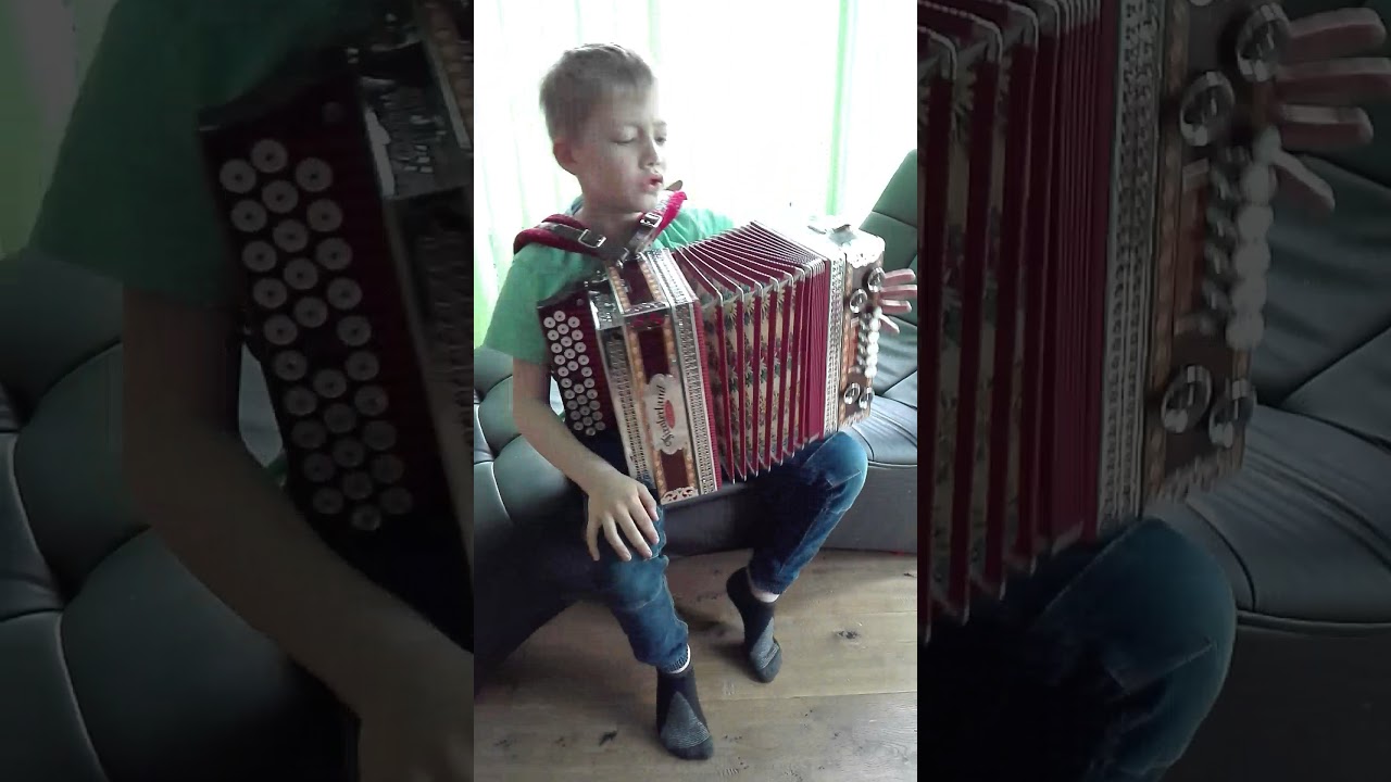 Die Sterne Am Himmel Steirische Harmonika