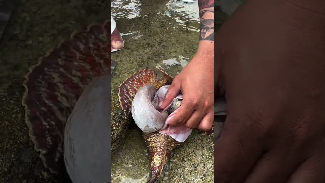 2-FOR-1 CATCH! 🎣 Cleaning the Strangest Fish I Caught