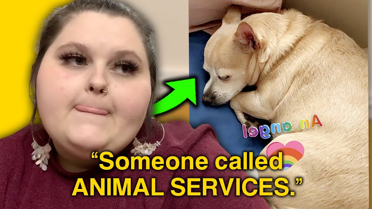 Amberlynn Reid’s OBESE Dog is Crying for HELP *Twinkie Star*