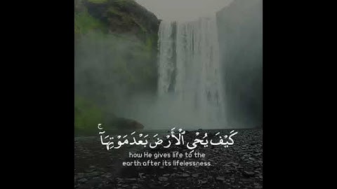 تلاوة هادئة تريح الأعصاب 😴🎧 | القاريء المعتصم بالله حسام - سورة الروم 🤍🌥️."
