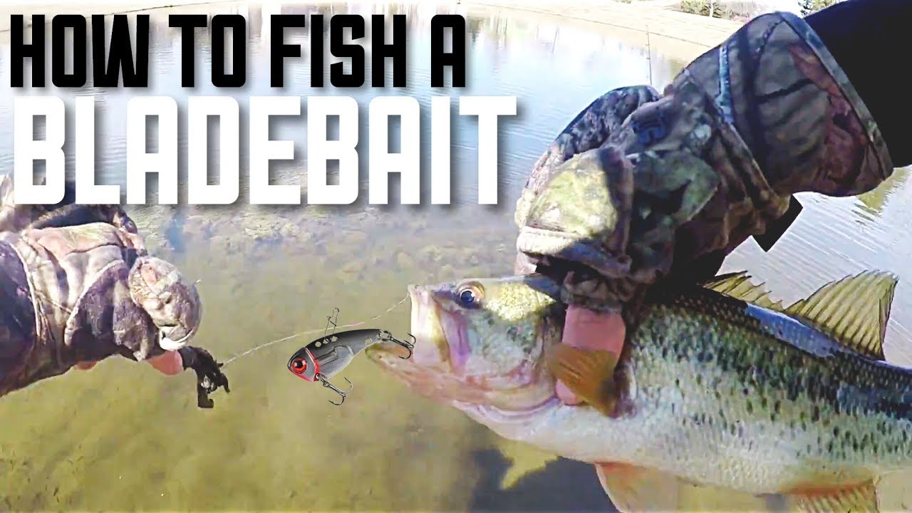 How to Fish a Bladebait--Johnson Thinsfisher 