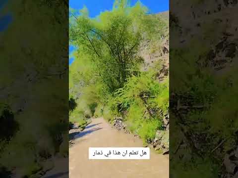 ذمار وادي الحار قد لا تصدق
