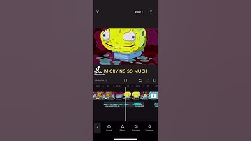 Thumbnail of Spongebob Squarepants theme song (cupcakKe Remix) (by Dawn of CupcakKe)