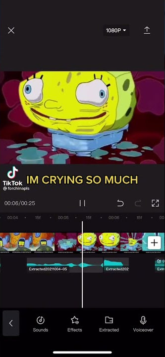 Spongebob Squarepants theme song (cupcakKe Remix) (by Dawn of CupcakKe)