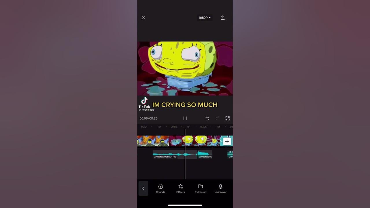 Spongebob Squarepants theme song (cupcakKe Remix) (by Dawn of CupcakKe)