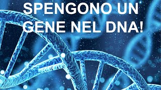 Spengono un gene difettoso senza modificare il DNA