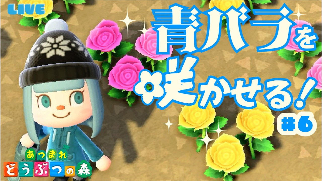 【あつ森】青いバラを求めて！！(紫のアネモネも)あつまれどうぶつの森Part6　#ゲーム実況 #ゲーム #あつ森 #あつ森ホテル