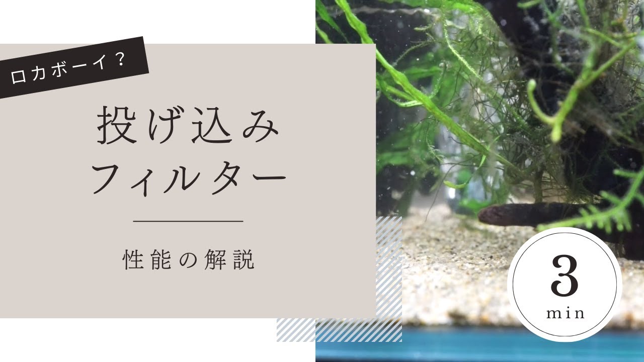 投げ込みフィルターって使える？→使える